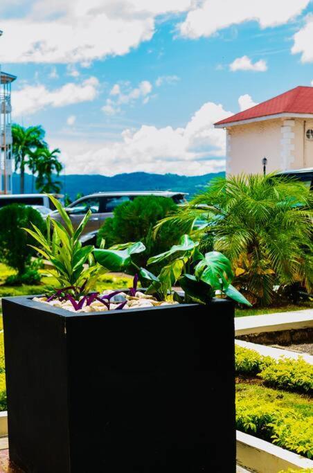 Falcon Islandview - Airport Pickup Available - 24Security Montego Bay Esterno foto